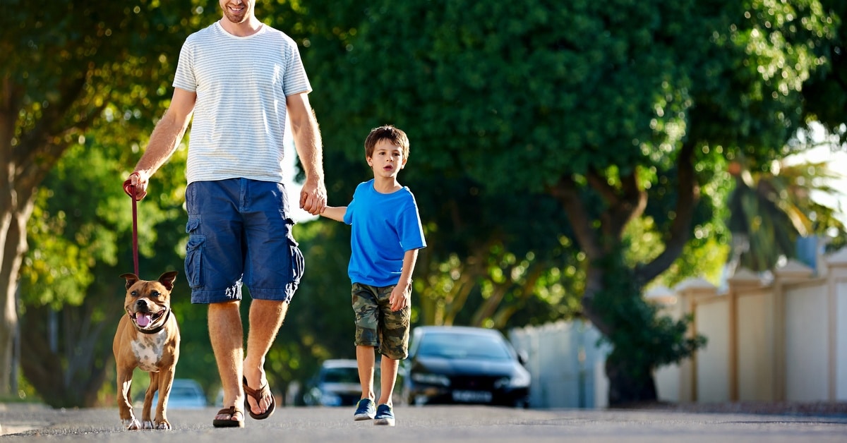 A man walks with a young boy and a dog on a leash down the street of a neighborhood. Several trees stand behind them.