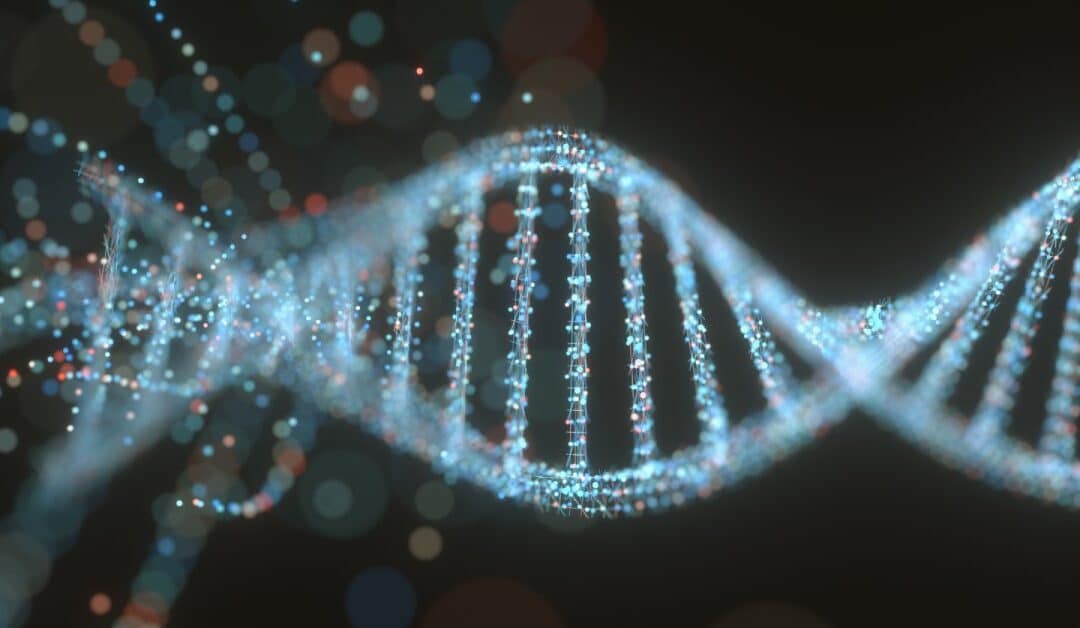 A view of a DNA molecule, showing the various strands with various colors. It sits in front of a black background.